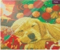 Preview: Craft Buddy CAK-A166M Framed Crystal Art Holzrahmen Sleeping Labrador Pup