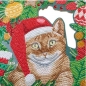 Preview: Craft Buddy CA-WR13 Crystal Art Kit Wreath 30 x 30 cm Christmas Cat
