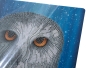 Preview: CAM-34 Crystal Art Gallery Collection Kit 21 x 25 cm Owl