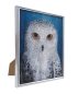 Preview: CAM-34 Crystal Art Gallery Collection Kit 21 x 25 cm Owl