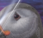 Preview: Craft Buddy CCK-A115 Crystal Art Card 18 x 18 cm Puffin