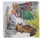 Preview: Craft Buddy CAK-PBRT33M Framed Crystal Art Holzrahmen Playful Peter Rabbit