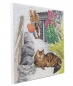 Preview: Craft Buddy CAK-PBRT33M Framed Crystal Art Holzrahmen Playful Peter Rabbit