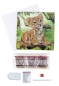 Preview: Craft Buddy CCK-A123 Crystal Art Card 18 x 18 cm Tiger Cub