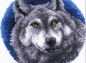 Preview: Craft Buddy LH02 Wolf 45 x 45 cm Latch Hook Round Rug Kit Set für runden Teppich