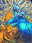 Preview: Craft Buddy CAK-JB1 Framed Crystal Art Holzrahmen Blue Rapsody Peacock