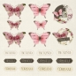 Preview: Crafter's Companion Bloom with Grace 12 x 12 Inch Die-Cut Topper Pad - Kopie