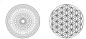 Preview: Medaillon platin 33 mm Durchschnitt