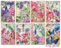 Preview: Decorer Paper Pack In my Garden