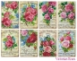 Preview: Decorer Paper Pack Victorian Roses