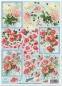 Preview: Reddy Cards Dufex 3 D Stanzbogen Chrysanthemen und Rosen