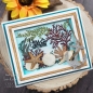 Preview: Creative Expressions Sue Wilson Craft Die Frames & Tags You Are My Anchor Frame