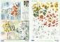 Preview: 3D Stanzbogenset Franz Heigl Rosen, Mohn, Sonnenblumen