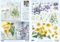 Preview: 3D Stanzbogenset Franz Heigl Lilienstrauß, Sonnenblumen, Clematis