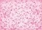 Preview: Hunkydory Bastelset Adorable Scorable Toppers Happy Days