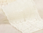 Preview: Elastische Spitze 10 cm breit pro Meter ecru