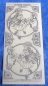 Preview: MD Sticker transparent Flower Fairies Chicory silber