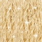 Preview: DMC Mouliné Etoile Strängchen zu 8 Meter Farbe beige