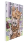 Preview: Craft Buddy PBN-3040-26 Painting by Numbers Framed Kit Malen nach Zahlen Hi Kittens