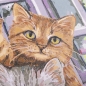Preview: Craft Buddy PBN-3040-26 Painting by Numbers Framed Kit Malen nach Zahlen Hi Kittens