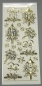 Preview: MD Sticker transparent gold Ecken Laterne