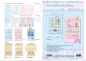 Preview: Reddy Cards Schrankkarten Baby