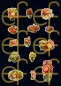 Preview: Selbstklebende Glanzbilder Blumen