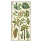 Preview: Stamperia 6 x 12 Inch Paper Pack Doppelseitiges Papier Amazonia