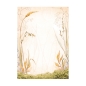 Preview: Stamperia A6 Rice Paper Reispapier Set Woodland Backgrounds