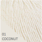 Preview: DMC Wooly chic 50 Gramm coconut