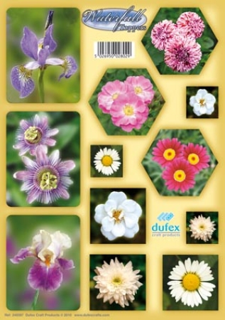 Reddy Cards Stanzbogen für Wasserfallkarten Motiv Blumen