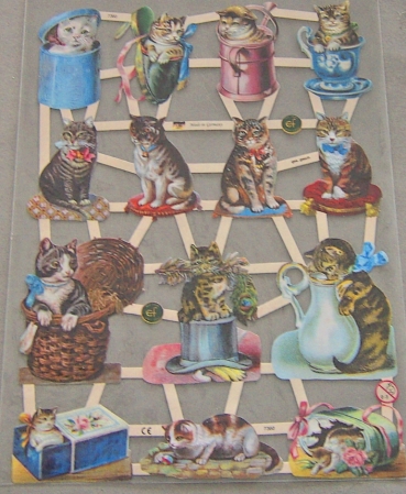 Poesiebild 24 x 17 cm Katzen Jugendtraum