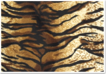 Reddy Cards Plüschkarton Tiger