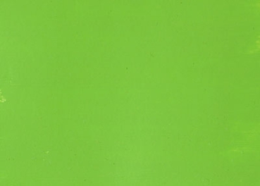Knorr Prandell Waco Lederfarbe Leather Color hellgrün