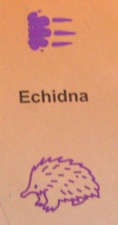 Doppelseitiger Stempel Echidna (Ameisenigel)