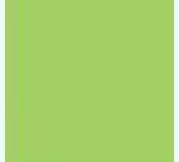 Trendy Filzband 3 mm x 2 cm Rolle zu 1,5 Meter pistazie