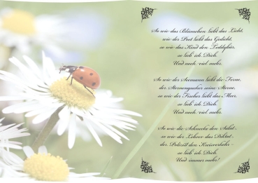 Reddy Cards Transparentpapier,  A5, Gedichte, So gern hab ich Dich
