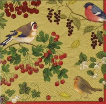 Caspari Cocktail Serviette pro Stück Winter Birds Gold