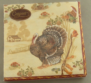Caspari Lunch Serviette pro Stück Homestead