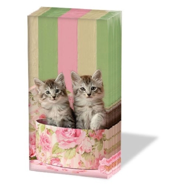 Ambiente Papier Taschentuch pro Stück Cats in Box