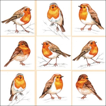 Ambiente Lunch Serviette 33 x 33 cm pro Stück Robins Family