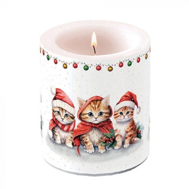 Ambiente Candle Kerze medium Funny Cute Kittens