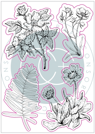 Preview: Craft Consortium Clear Stamp At Home in the Wildflowers Flora