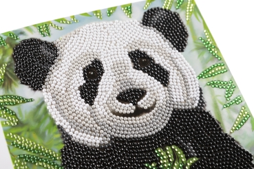 Preview: Craft Buddy CCK-A120 Crystal Art Card 18 x 18 cm Baby Panda