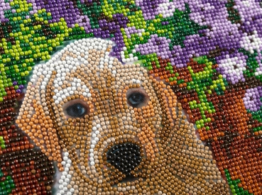 Preview: Craft Buddy CAK-A182M Framed Crystal Art Holzrahmen Floral Pup