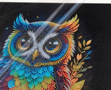 Preview: Craft Buddy CAK-A199M 30 x 30 cm Crystal Art Kit Holzrahmen Owl