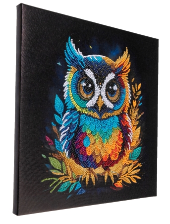 Craft Buddy CAK-A199M 30 x 30 cm Crystal Art Kit Holzrahmen Owl