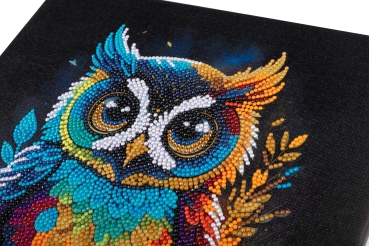 Craft Buddy CAK-A199M 30 x 30 cm Crystal Art Kit Holzrahmen Owl