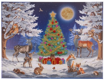Craft Buddy CAK-A298ML Framed Crystal Art Holzrahmen Animal Gathering