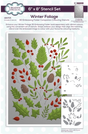 Creative Expressions Colouring Stencil Winter Foliage Companion